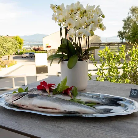 Boutique De L'ecu Vaudois 3* Begnins