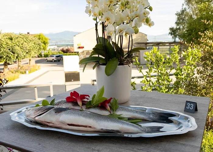 Boutique De L'ecu Vaudois 3* Begnins